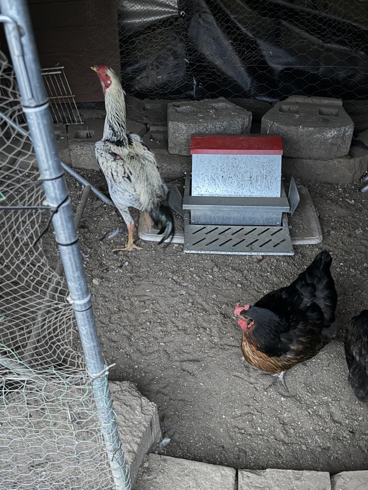 25lbs Automatic Chicken Feeder-Steel Treadle Poultry Feeder Weatherproof customer photo 1
