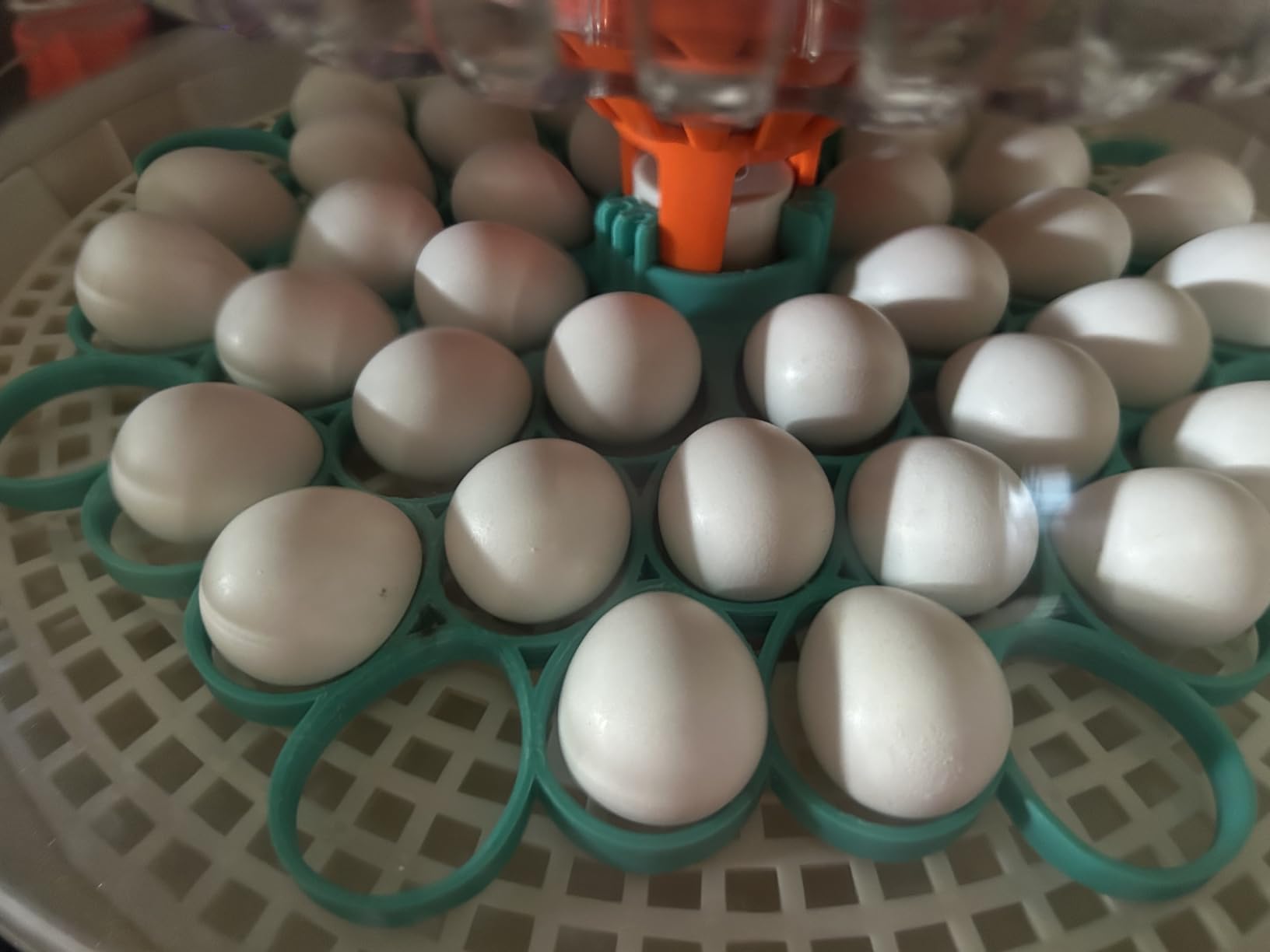 APDOE Egg Incubators for Hatching Eggs, Temperature and Humidity Control, Automatic Egg Turning, Egg Candler, External Water Bottle, Air Vent, for Chicken, Duck & Quail Eggs, 18 Eggs customer photo 2