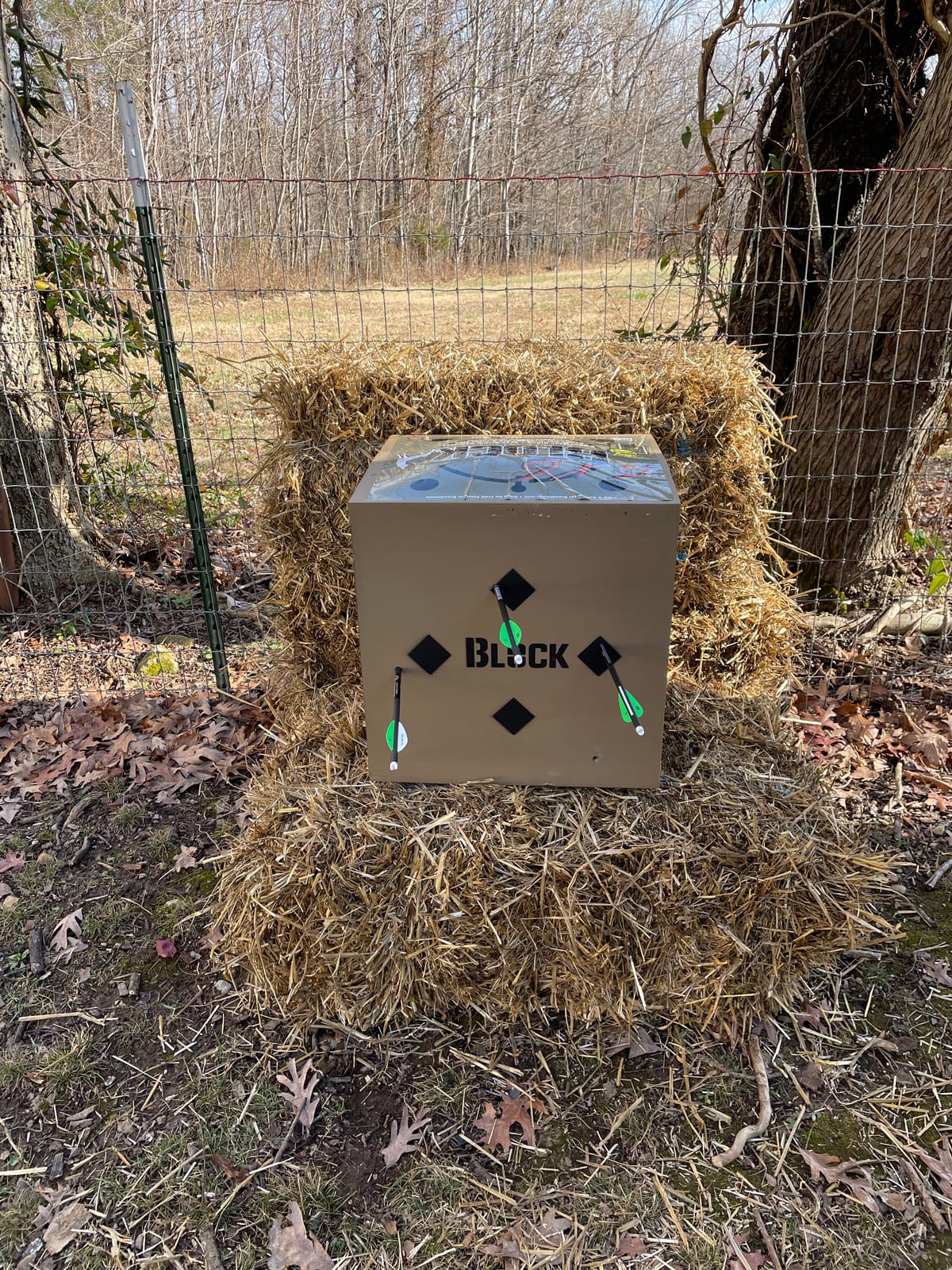 Barnett Whitetail Series Crossbow Package – Hunting Crossbows with 4x32 Scope, Arrows, Quiver & Cocking Device Options – Multiple Models & Configurations customer photo 1