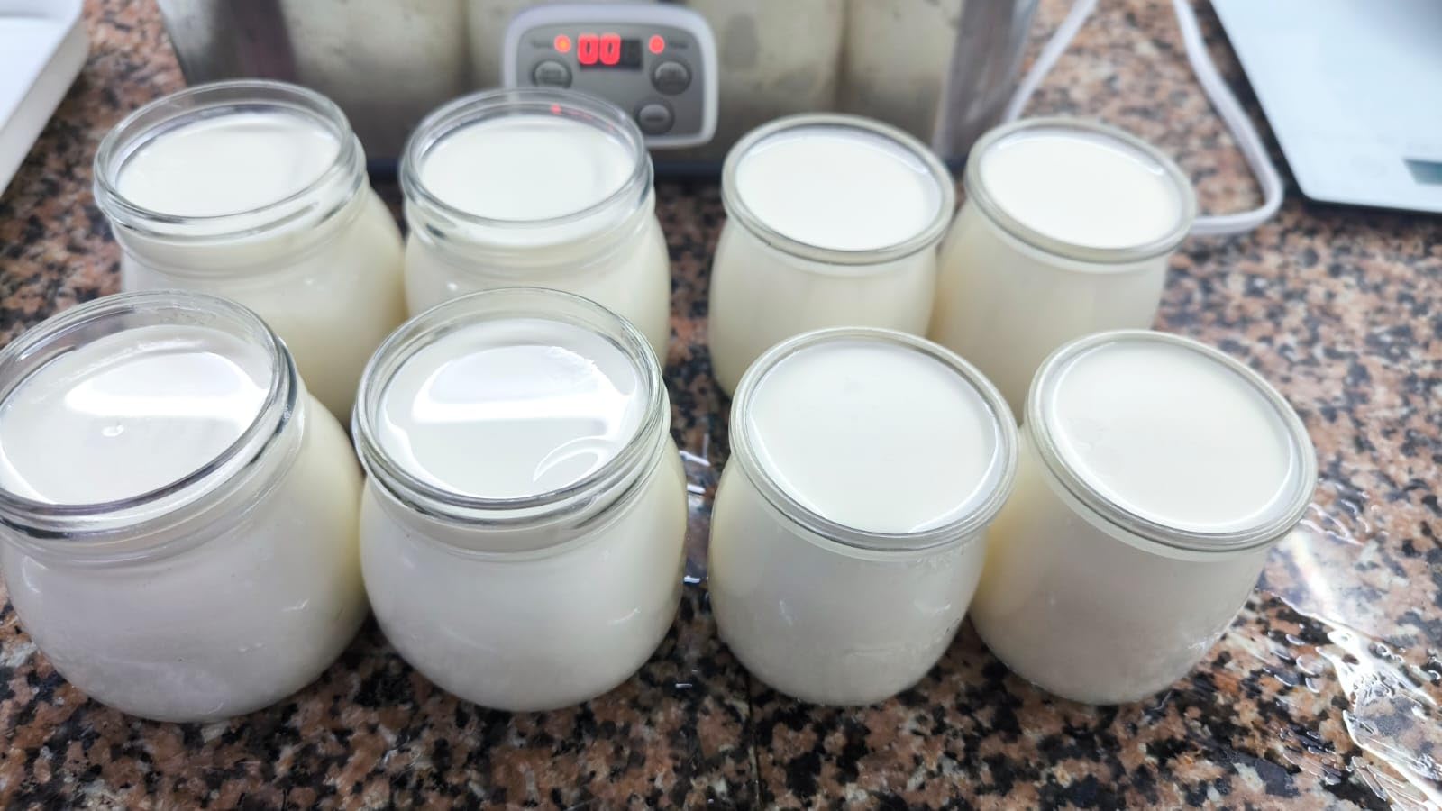 Suteck Yogurt Maker with 8 Jars, Adjustable Time & Temp Control, Black customer photo 1