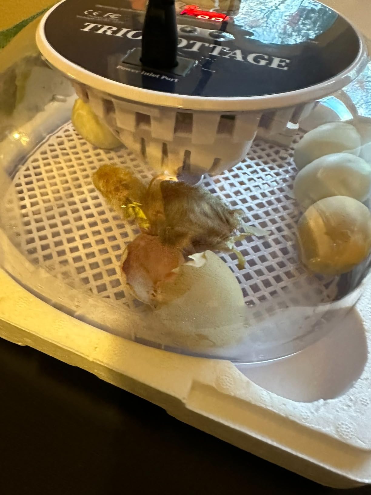 Egg Incubators for Hatching Eggs, Temperature&Humidity Control customer photo 1