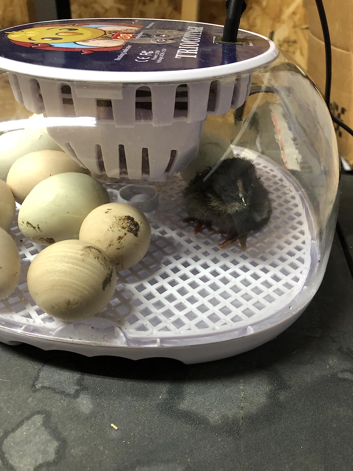 Egg Incubators for Hatching Eggs, Temperature&Humidity Control customer photo 2