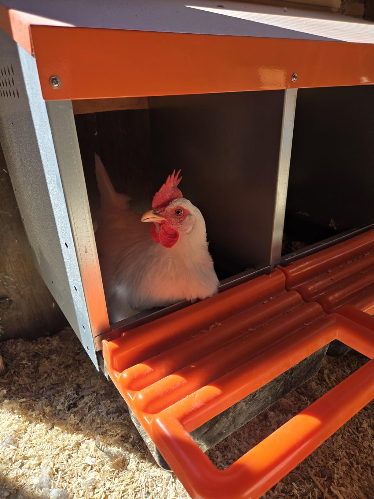 ZenxyHoC Two-Tier Chicken Nesting Box Red 6 Compartments customer photo 1