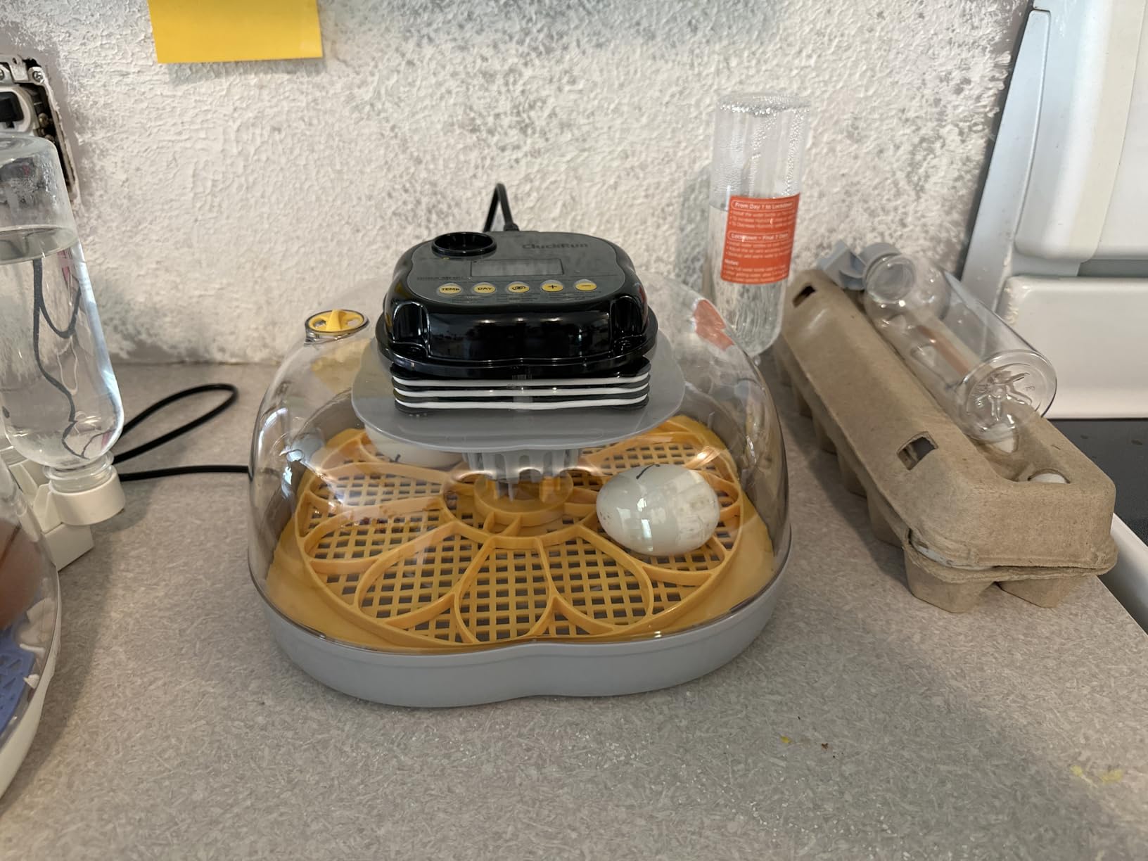 Egg Incubators for Hatching Eggs, 18 Chicken or 8 Large Eggs Incubator customer photo 1