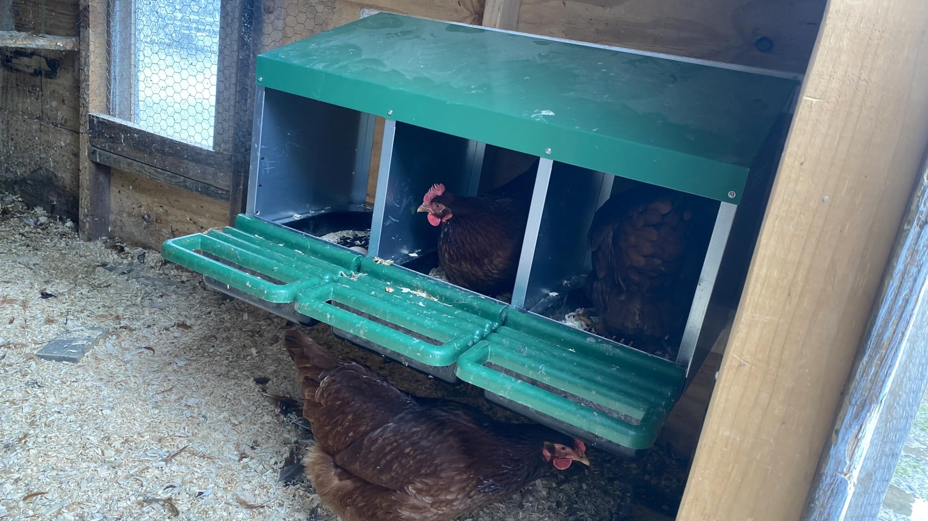 Eggluuz Chicken Nesting Box, 6 Compartments Egg Laying Nests Boxes for Hens customer photo 1