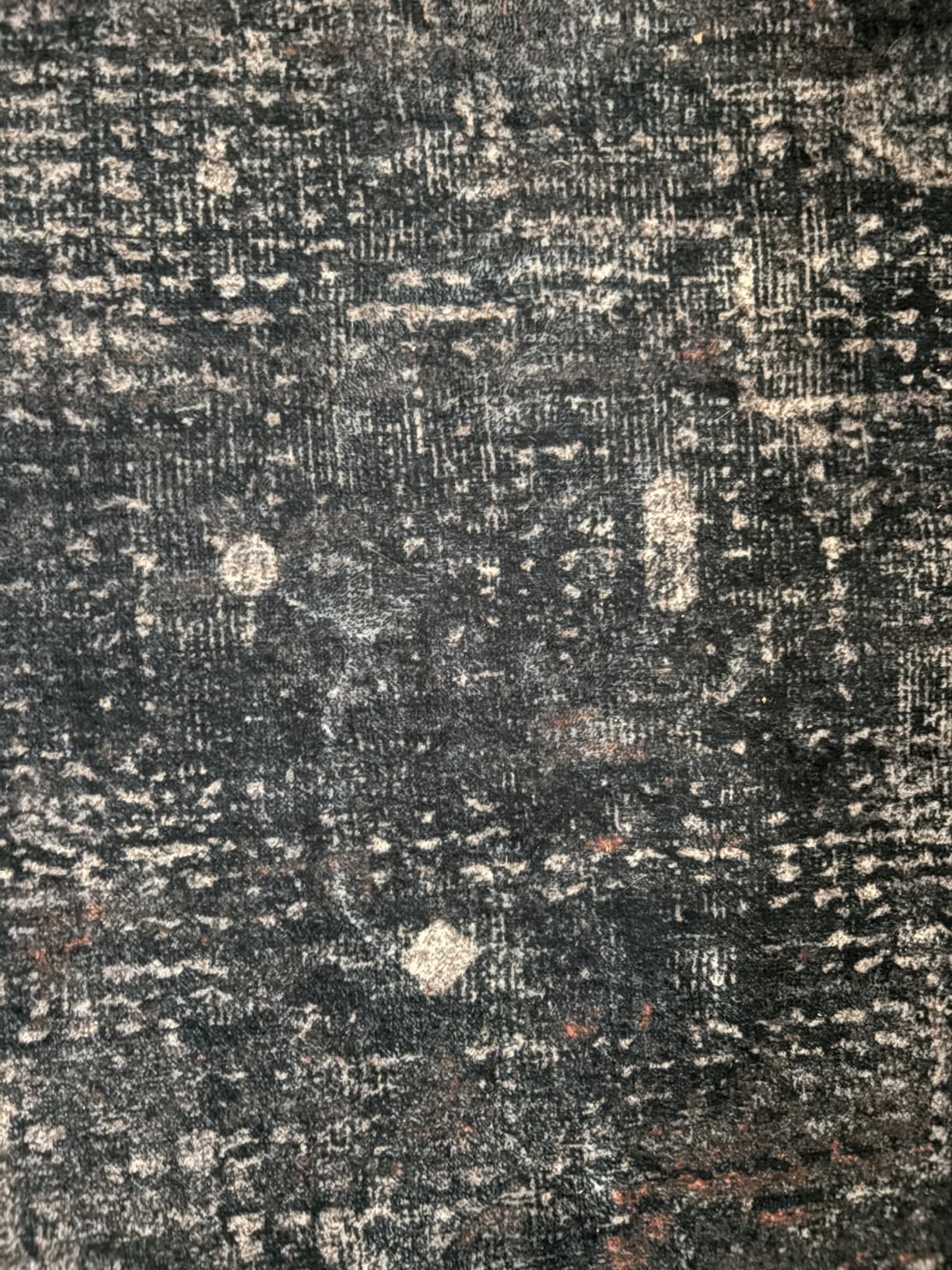 TALANOVA Black Farmhouse Washable 8x10 Area Rugs for Living Room, Dark Charcoal Volcanic Textured Large Rug for Bedroom, Non-Slip Stain Resistant for Dining Room Office Décor customer photo 1