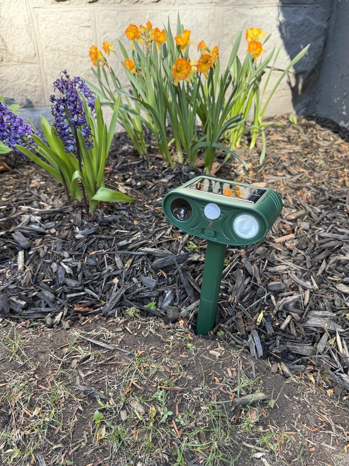 Solar Ultrasonic Animal Repellent Outdoor with Motion Sensor Strobe Light customer photo 2