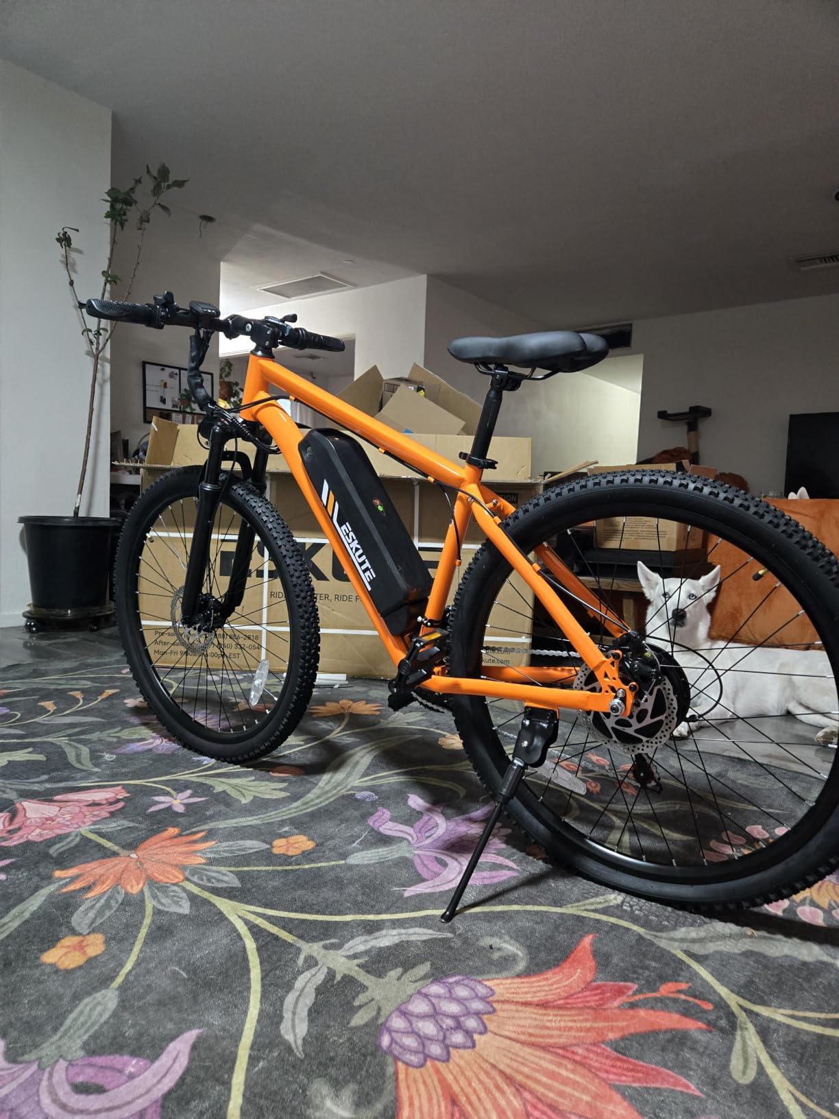 ESKUTE M200F Electric Bike for Adults – 27.5 inch Tire Mountain E-Bike, 1500W Peak Brushless Motor 31+MPH, 48V 20.8Ah Removable Battery, Up to 80 Miles, Step Over Commuter E-MTB, Full Suspensions customer photo 2