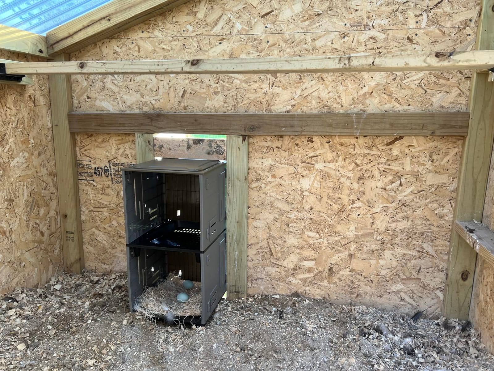 Chicken Nesting Box, 2 Compartment Nesting Boxes for Chickens, Large Chicken Laying Boxes for Egg Collection & Hen on Nest, Roll Away Nesting Boxes Chicken (Extra Large) customer photo 1