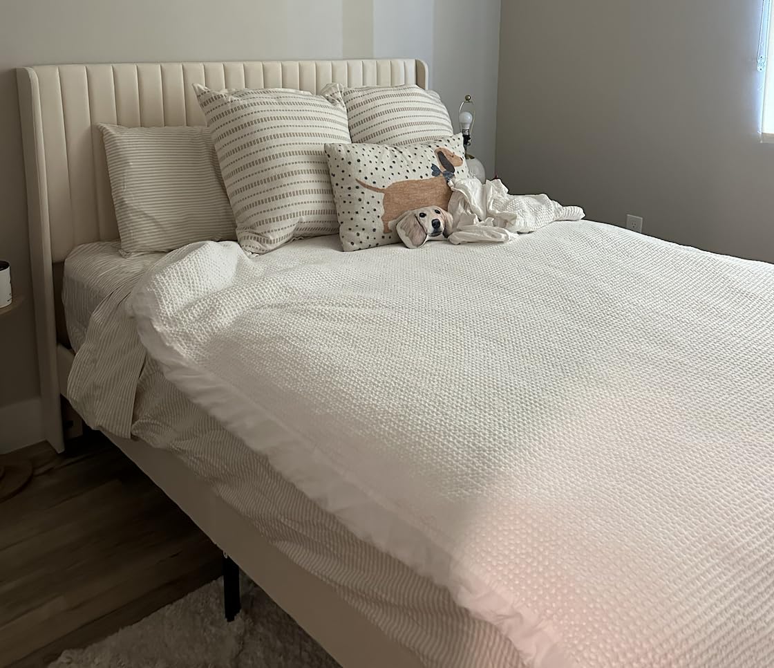 SHA CERLIN Queen Size Velvet Bed Frame, Tufted Wingback Headboard, Cream customer photo 1