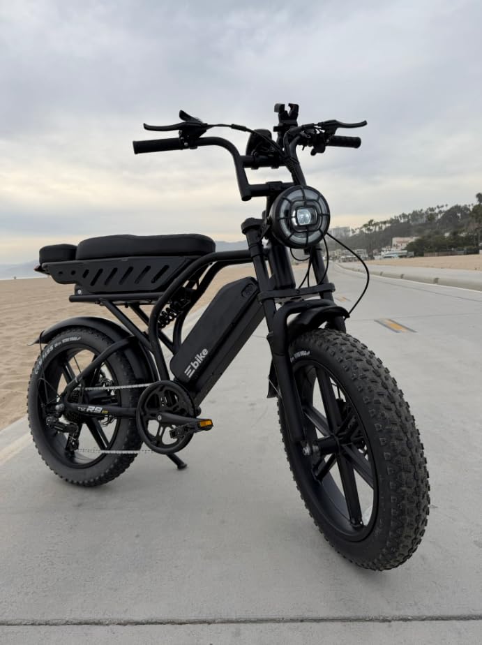 Electric Bike for Adults,48V Removable Battery Retro Ebike,28MPH Top Speed customer photo 2