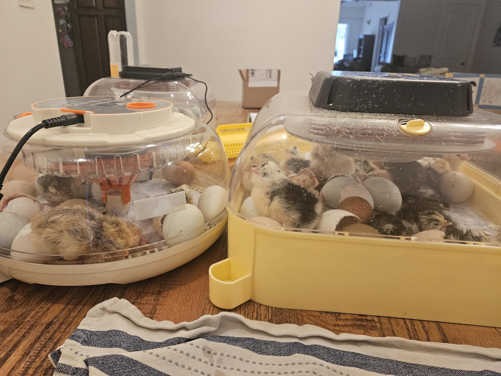 Sailnovo 12 Egg Incubators for Hatching Egg with Auto Humidification customer photo 1