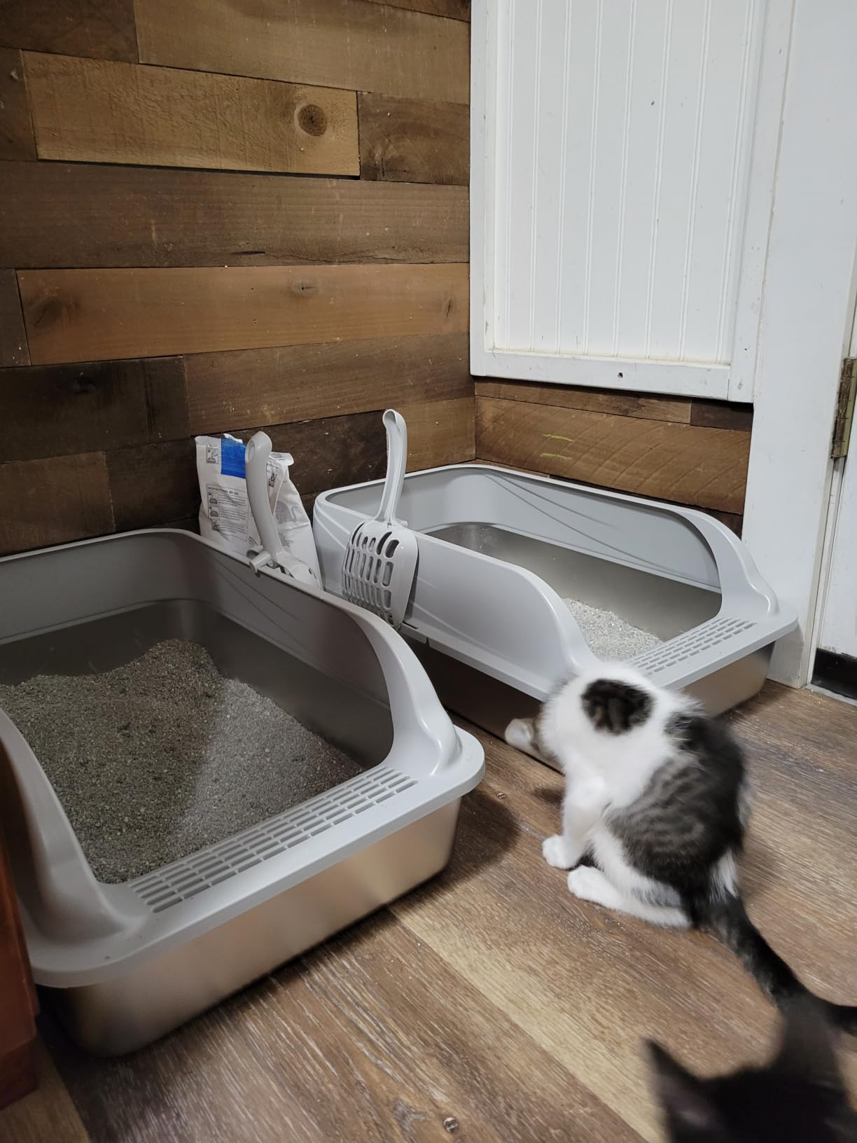 Stainless Steel Cat Litter Box with Lid, XL Metal High Sided Litter Box customer photo 1