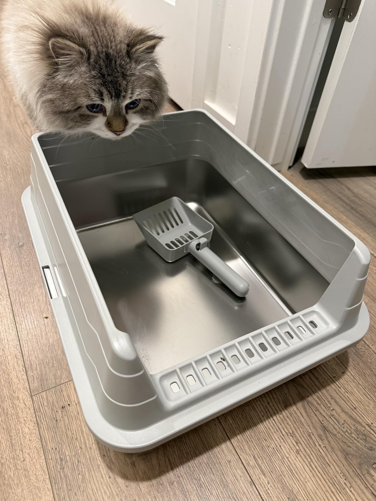 Stainless Steel Cat Litter Box with Lid, XL Metal High Sided Litter Box customer photo 2