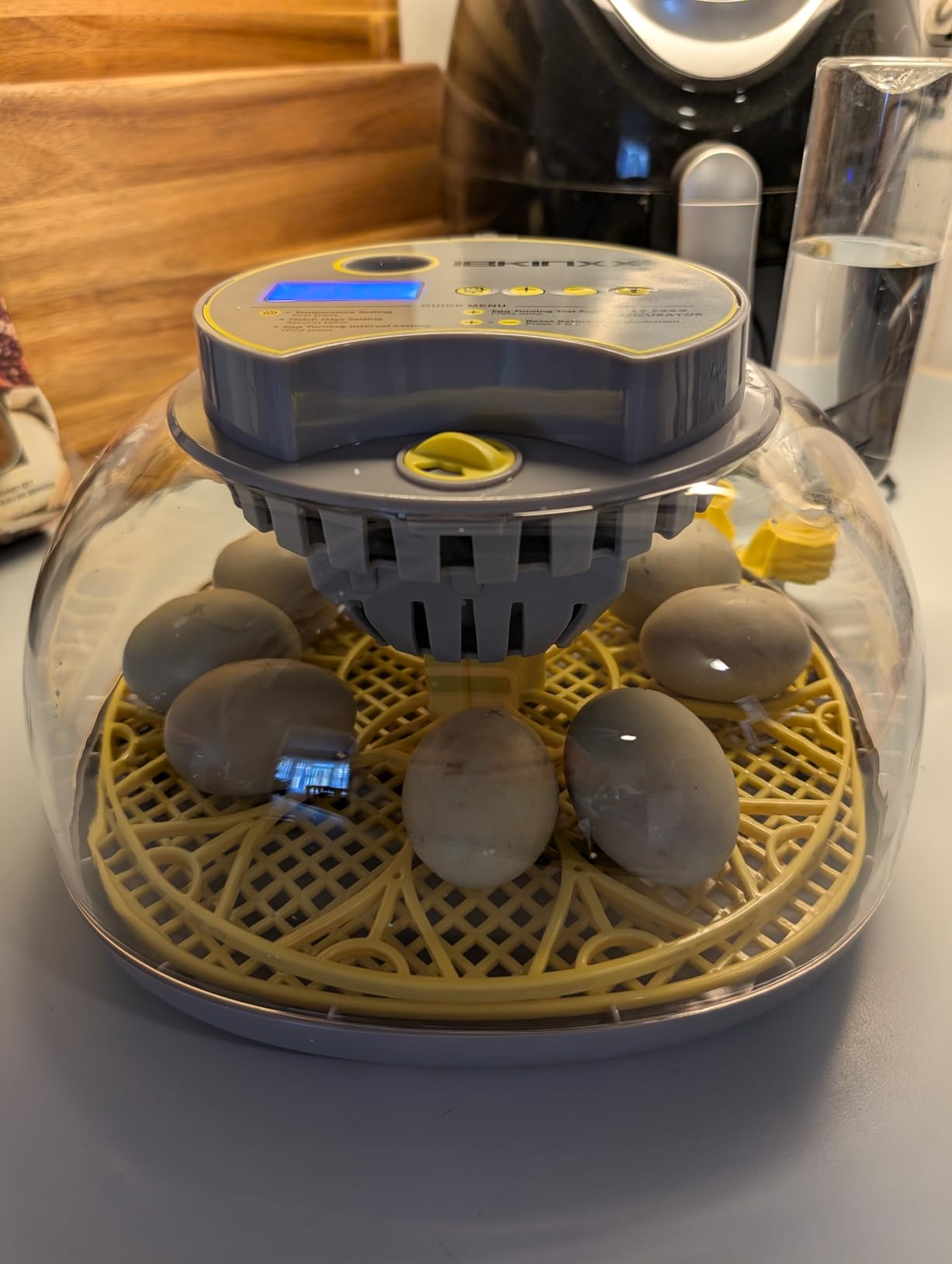IBKINXX Incubator for Hatching Eggs-18 Egg Capacity, Newly Upgraded Automatic Egg Turner, Temperature & Humidity Control, 360° Viewing for Chicken, Duck and Quail Eggs (Black) customer photo 1
