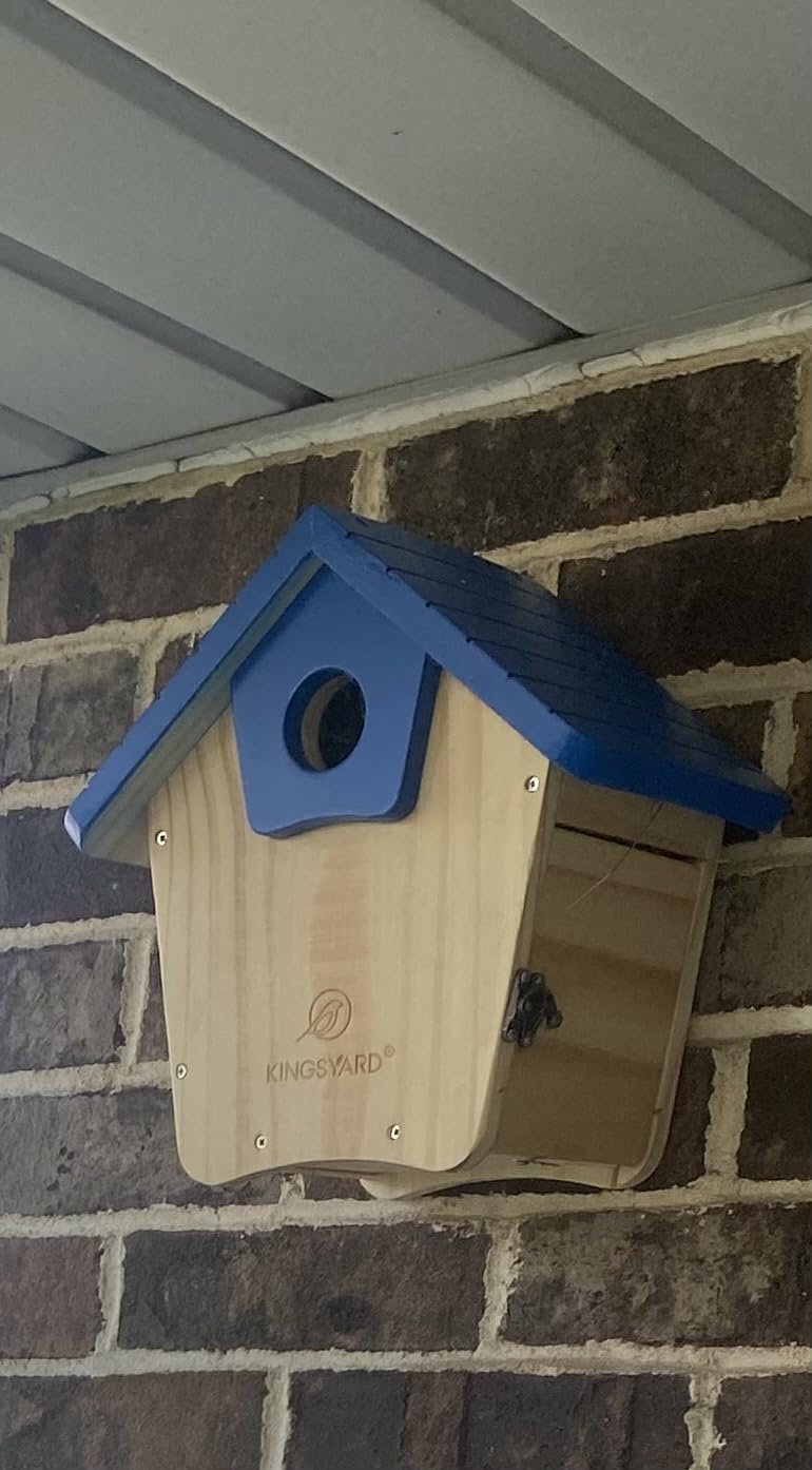 Kingsyard Squirrel Proof Hanging Bird Feeder for Outdoors customer photo 1