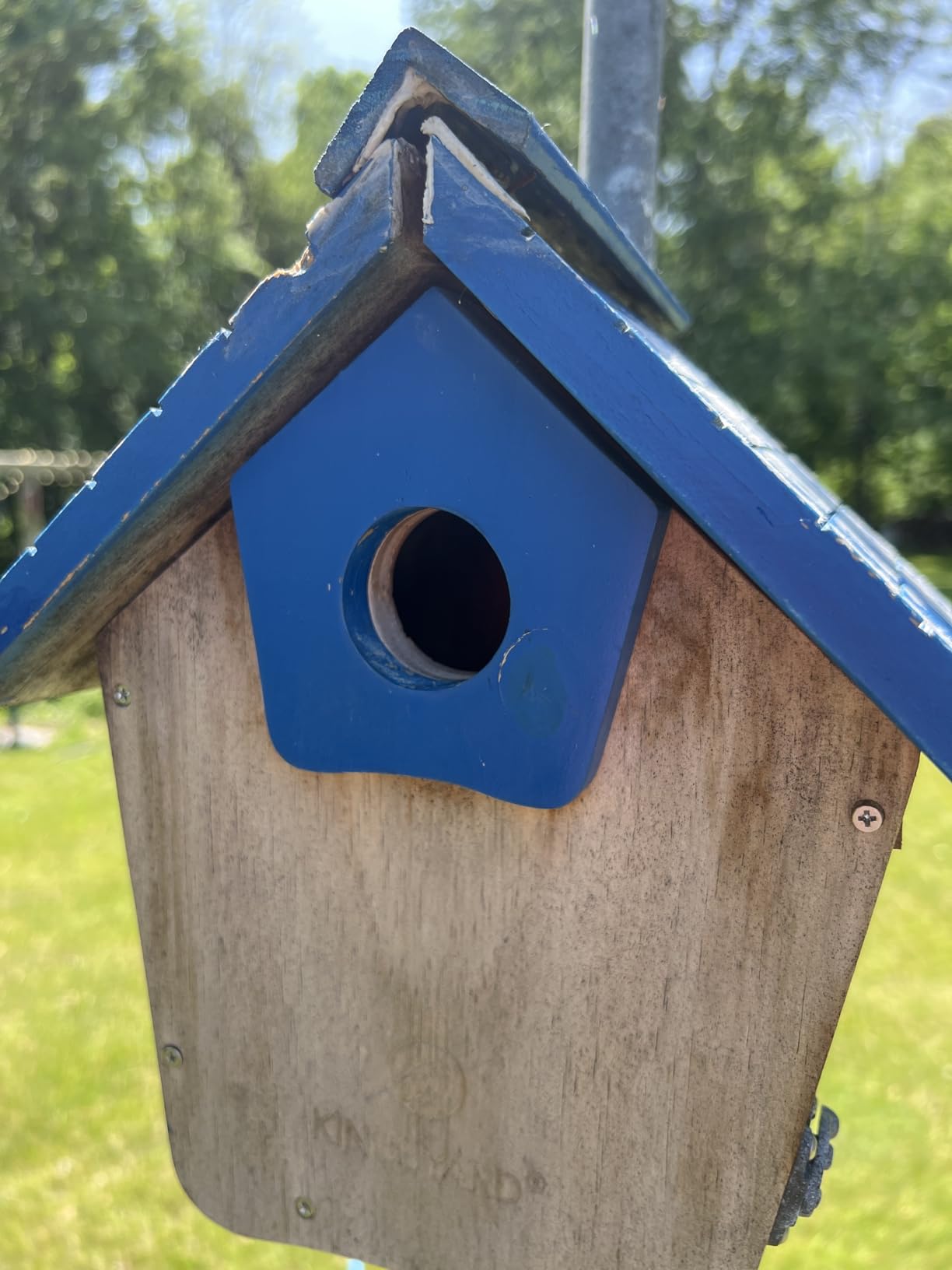 Kingsyard Squirrel Proof Hanging Bird Feeder for Outdoors customer photo 2
