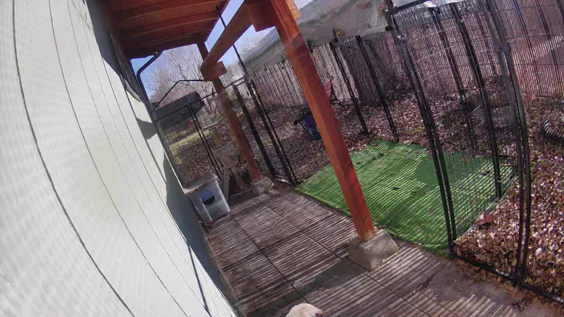 Large Dog Kennel Outside Expandable Outdoor Pet Pens Dogs Kennel Run Enclosure Animal Hutch Metal Coop Fence with Roof Cover customer photo 1