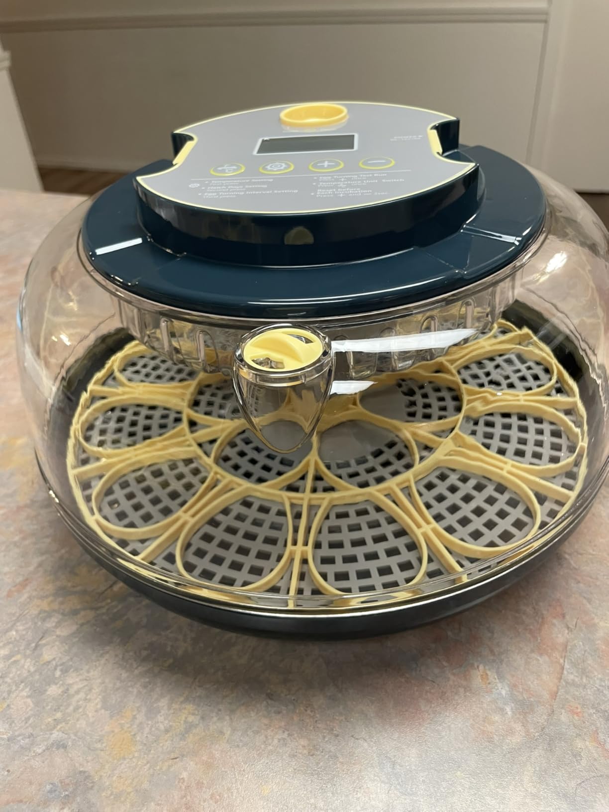 Incubators for Hatching Eggs, 56 Eggs Incubator with Egg Candler, Auto Egg Turner, Temp & Humidity Control, Hatch Day,360° Viewing for Chicken,Duck,Quail Eggs,Ideal for Farm,School and Lab,Blue&Yellow customer photo 2