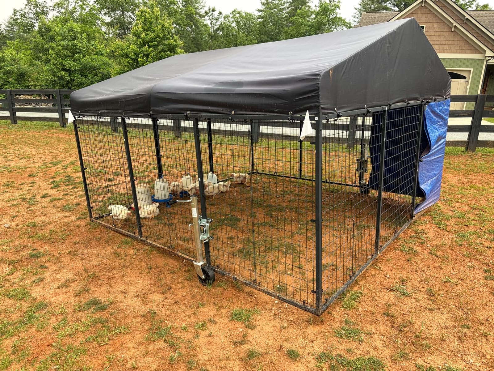 Petony Large Outdoor Dog Enclosure Heavy Duty Dog Kennel House Mesh Dog Big Cage Pet Kennel Steel Fence with Secure Lock (118”x 118”) customer photo 2