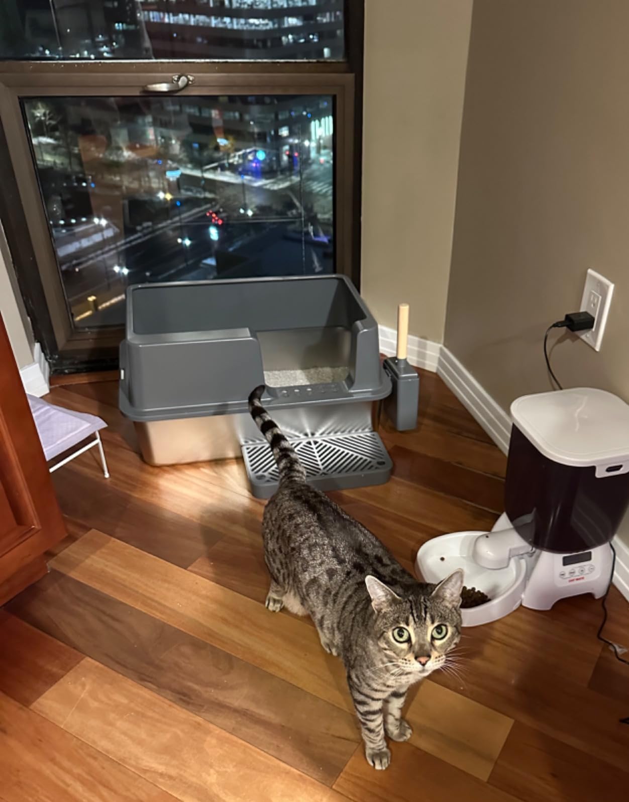 Happypaw XXXL Open-Top Automatic Self Cleaning Litter Box for Multiple Cats customer photo 1