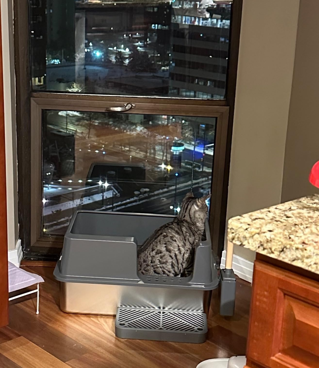 Happypaw XXXL Open-Top Automatic Self Cleaning Litter Box for Multiple Cats customer photo 2