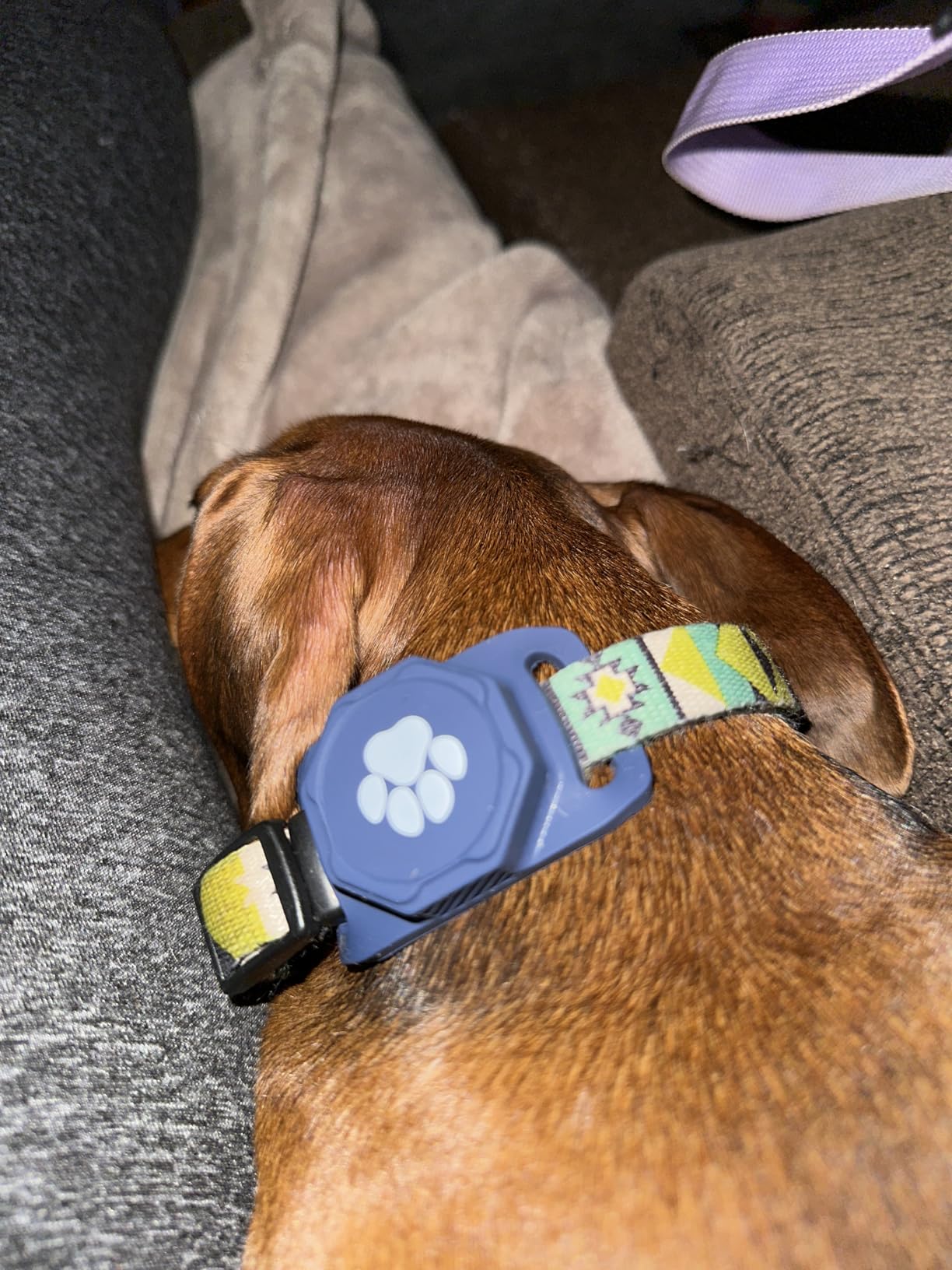Smart Pet Tracker for Collar - Dog Tracker Pet Location Tracker with Holder customer photo 2