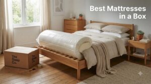 Best Mattresses in a Box