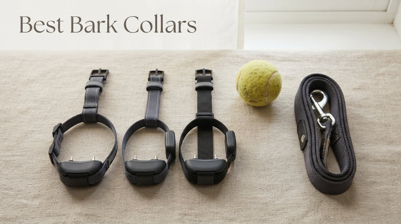 Best Bark Collars