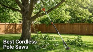 Best Cordless Pole Saws