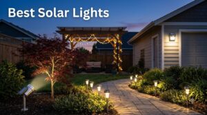 Best Solar Lights