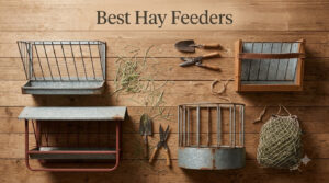Best Hay Feeders