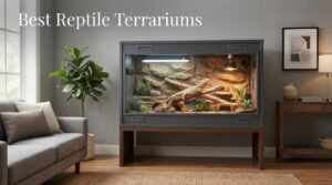 Best Reptile Terrariums