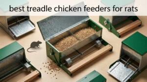best treadle chicken feeders for rats