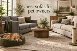 best sofas for pet owners