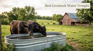 Best Livestock Water Troughs