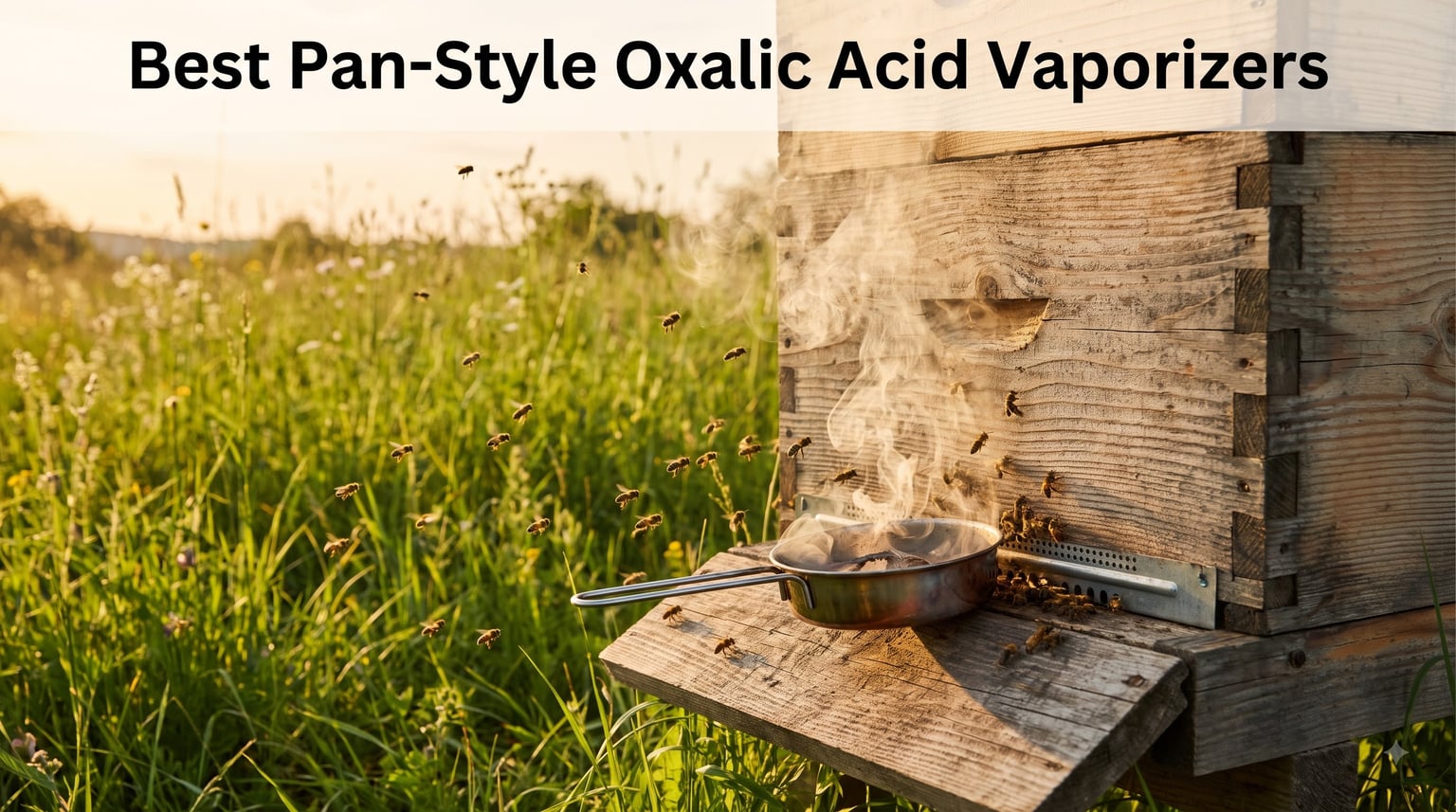 Best Pan-Style Oxalic Acid Vaporizers